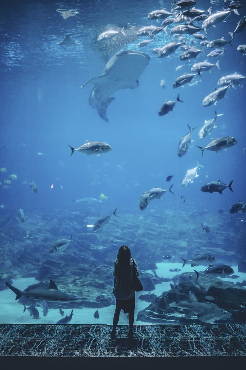 Teleportation Wonders